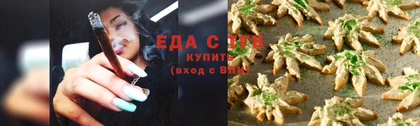 СК Елизово