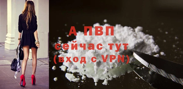 СК Елизово