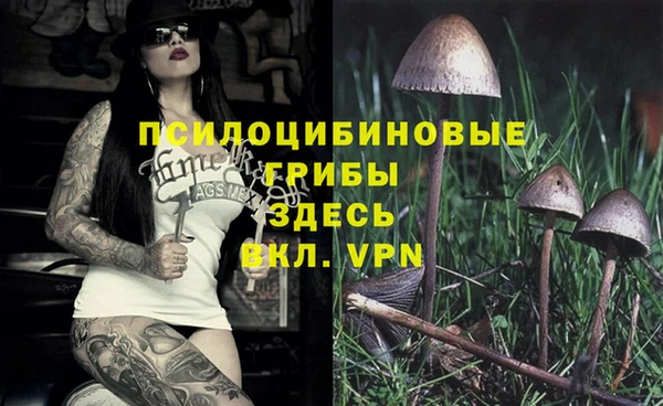 соль ск Елабуга