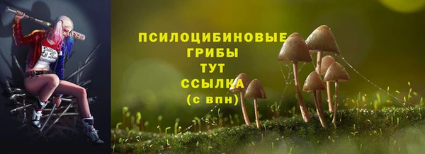СК Елизово