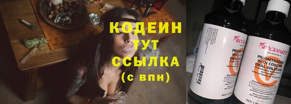 СК Елизово