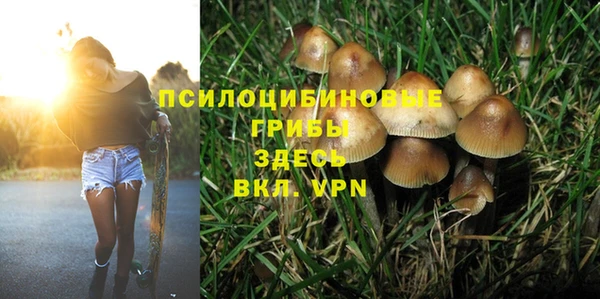 соль ск Елабуга