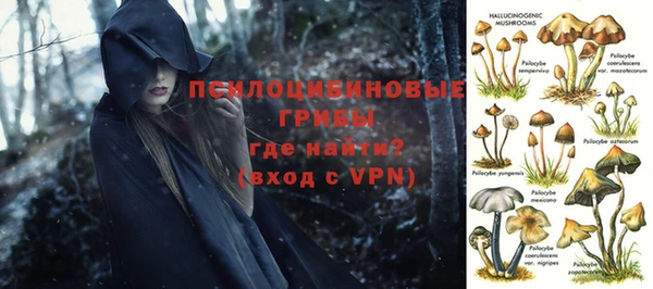 mix Ельня