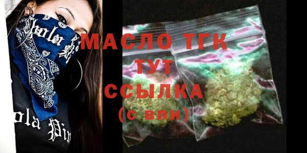 mix Ельня