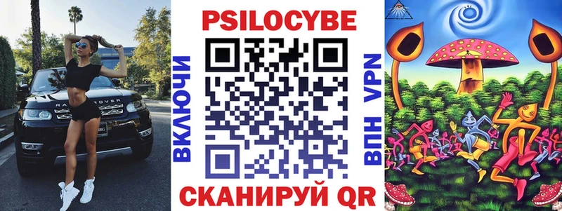 Псилоцибиновые грибы Psilocybe  Купить  Нюрба 